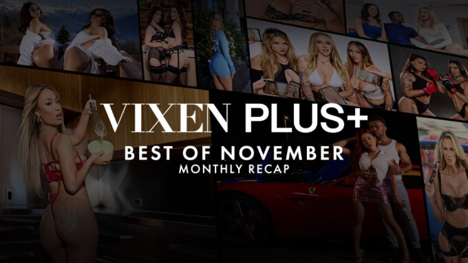 Vixen Plus Releases 17 New Scenes in November