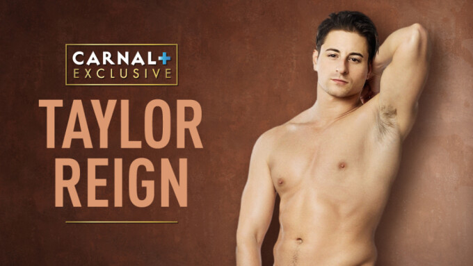 Carnal Media Signs Taylor Reign to Exclusive Contract