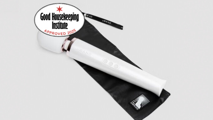 Good Housekeeping Recommends Le Wand Rechargeable Wand Vibrator