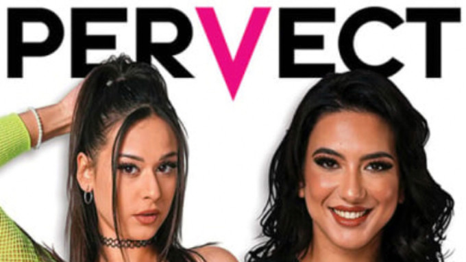 Pervect Releases New Threesome-Themed DVD