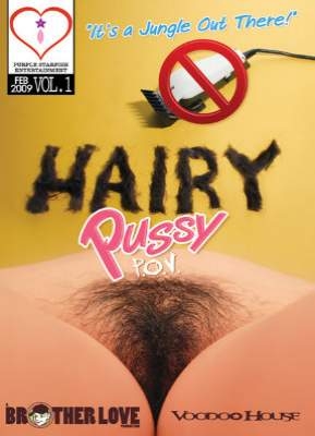 Hairy Pussy POV