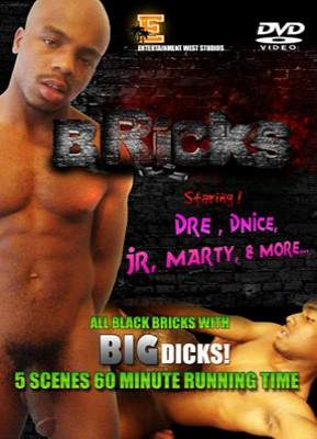 Bricks