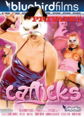 Catlicks 1