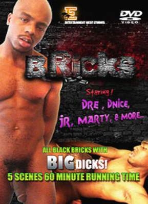 Bricks