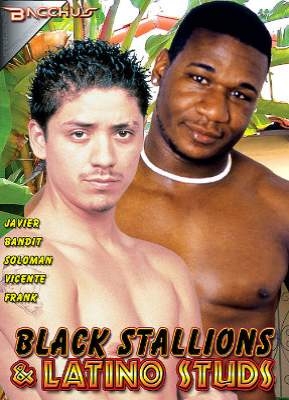Black Stallions and Latino Studs