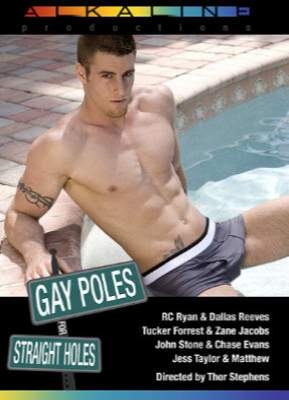 Gay Poles For Straight Holes
