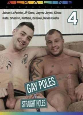 Gay Poles For Straight Holes 4