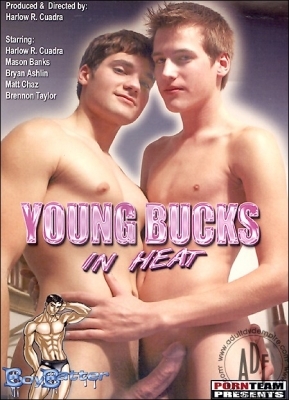 Young Bucks in Heat